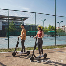 Patinete eléctrico Xiaomi Segway Ninebot E25